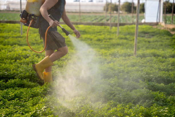 Best Pest Control for Restaurants  in Homeacre Lyndora, PA